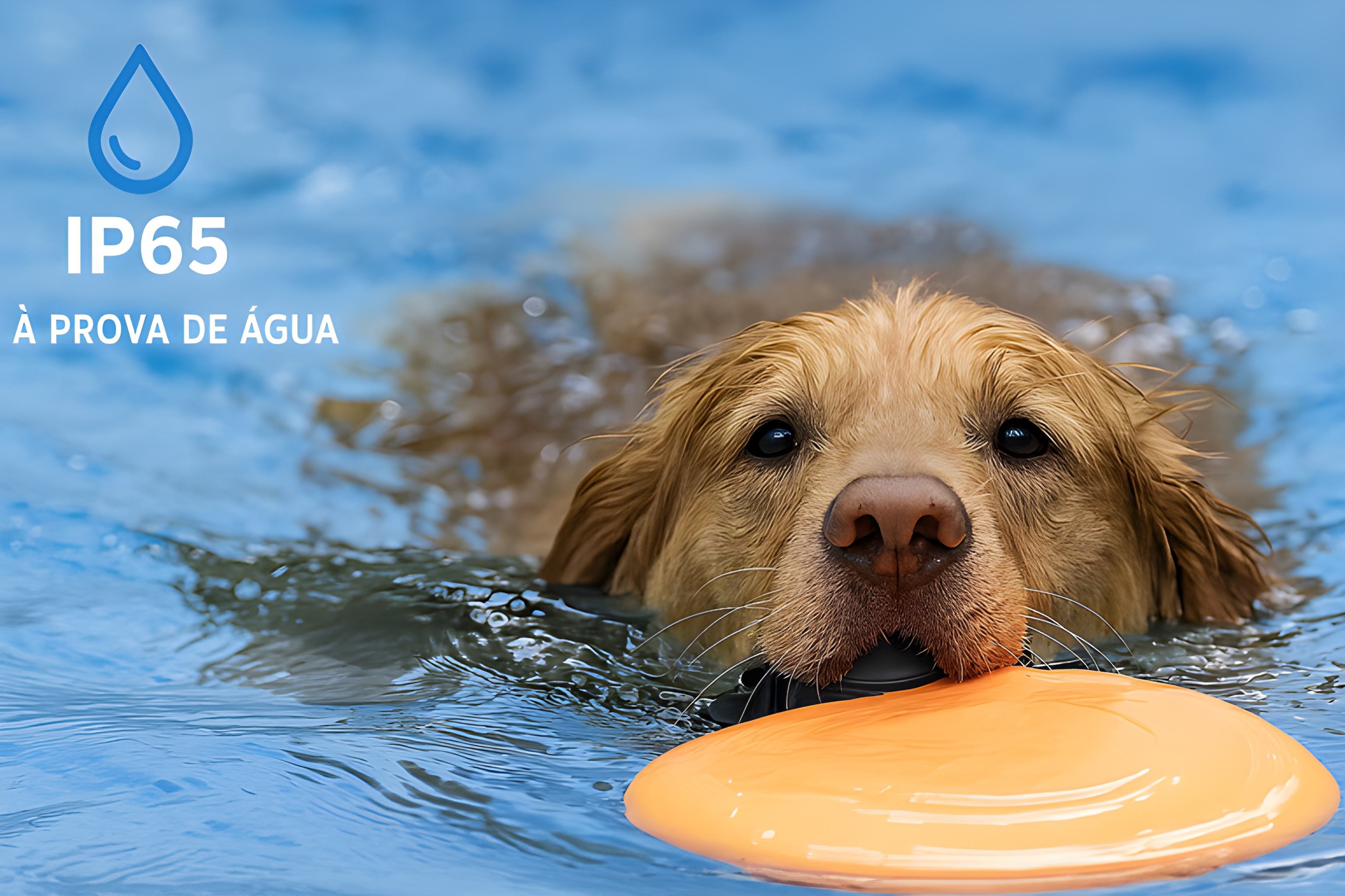 Coleira anti latido para cães com bateria recarregável 