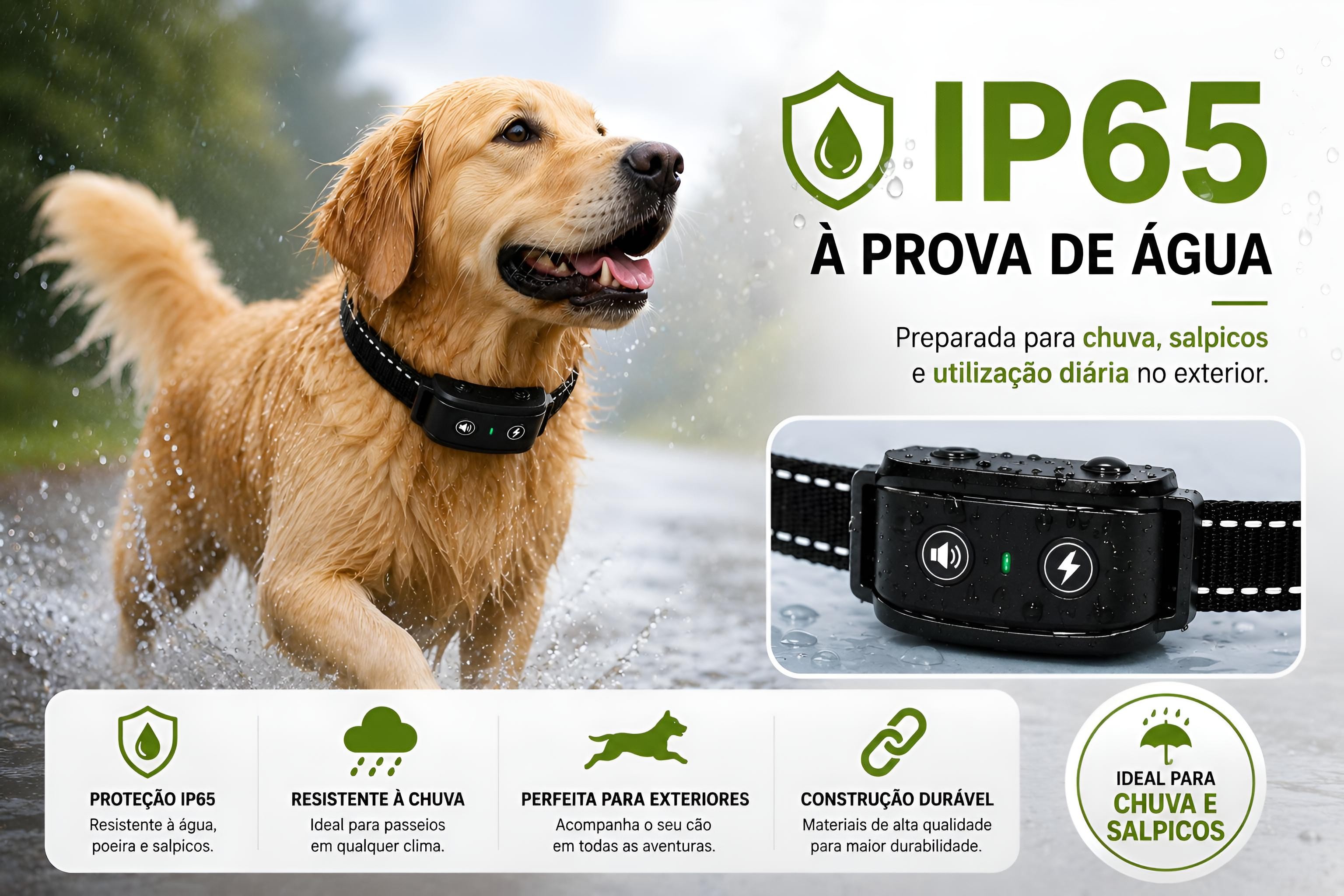 Coleira anti latido para cães com bateria recarregável 