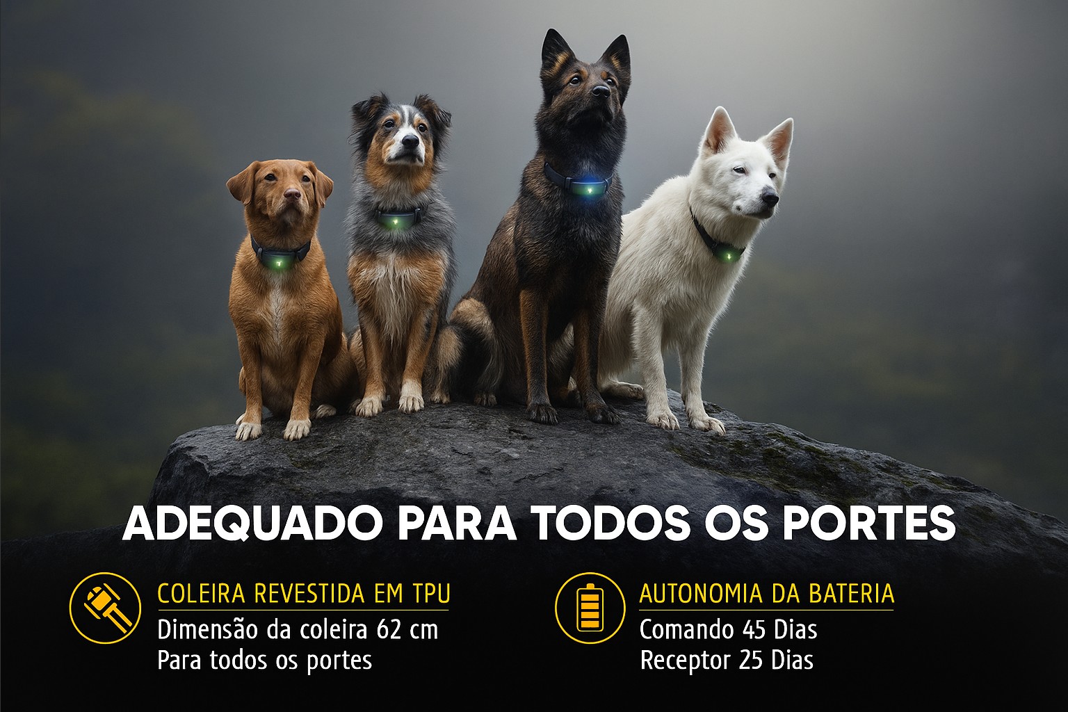Coleira de adestramento à distância X9 para 2 cães