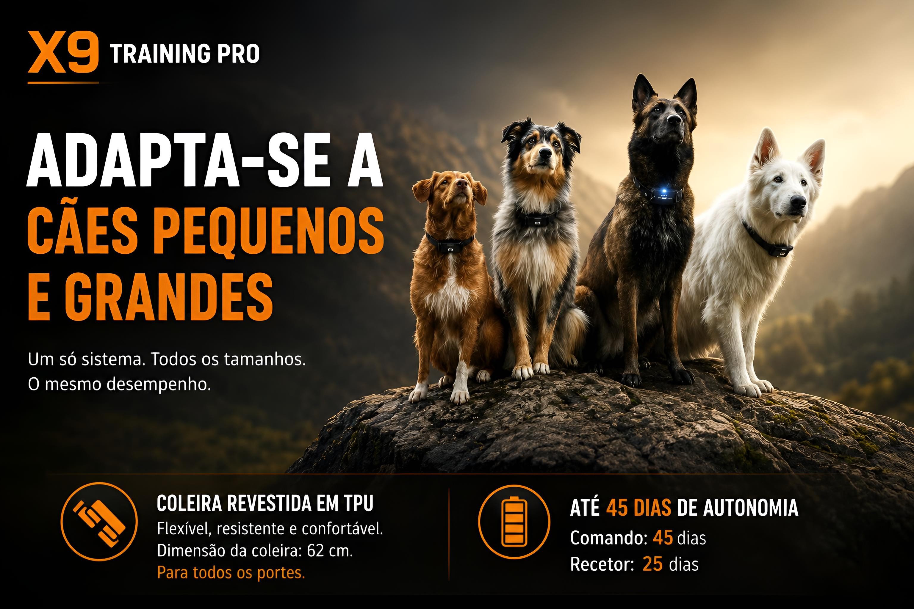 Coleira de adestramento à distância X9 para 2 cães 