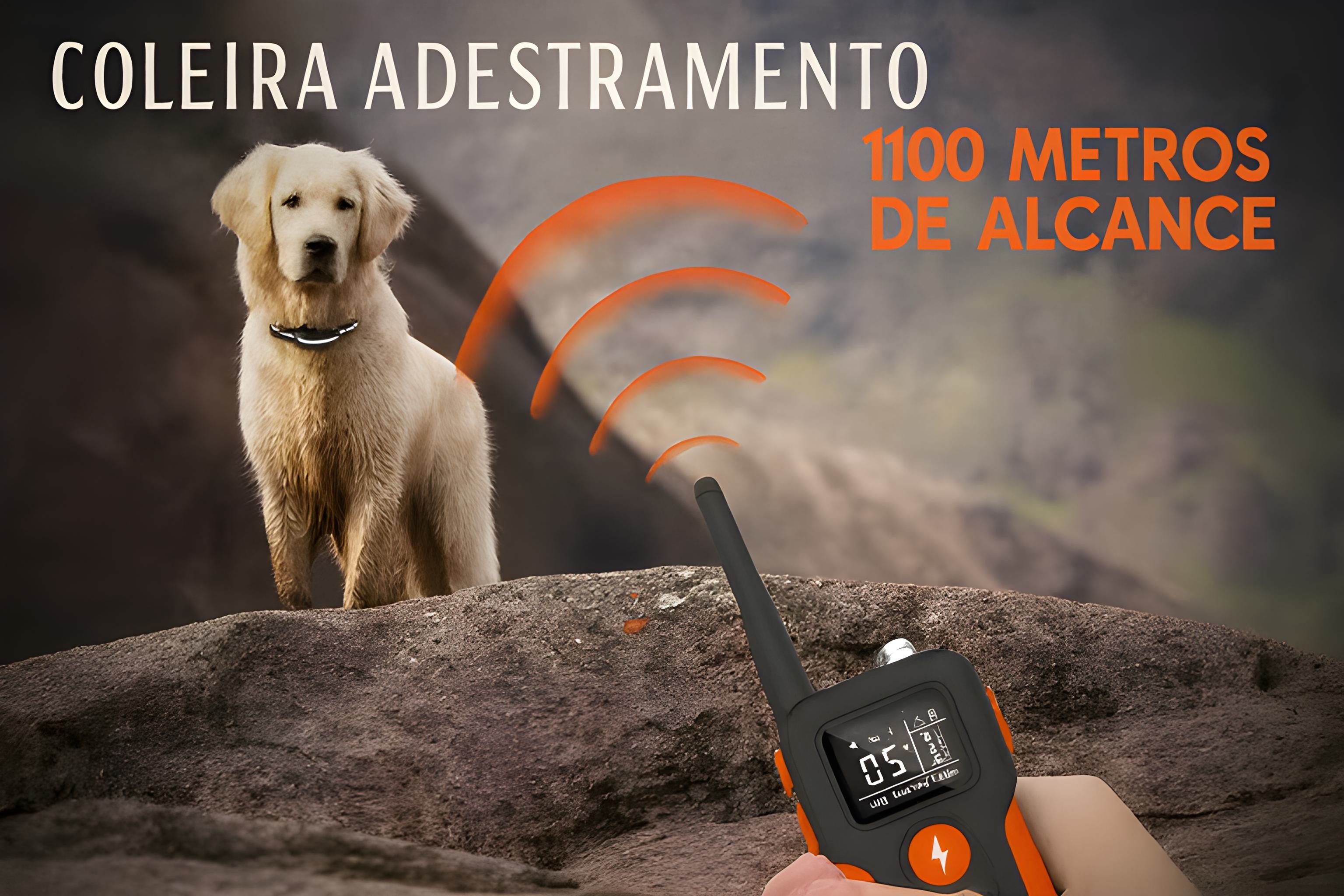Coleira de adestramento à distância Pro para 3 cães 