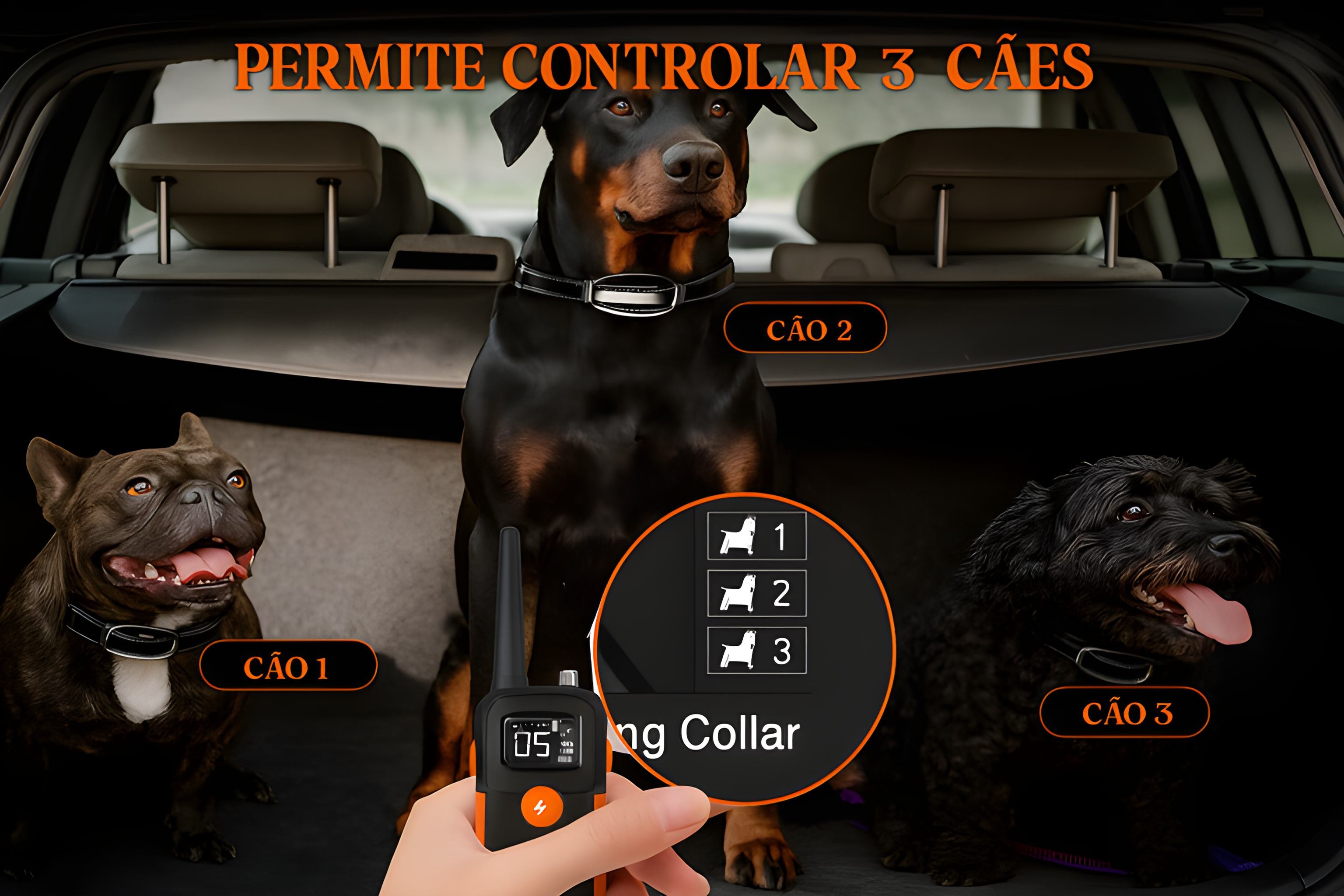 Coleira de adestramento à distância Pro para 3 cães 