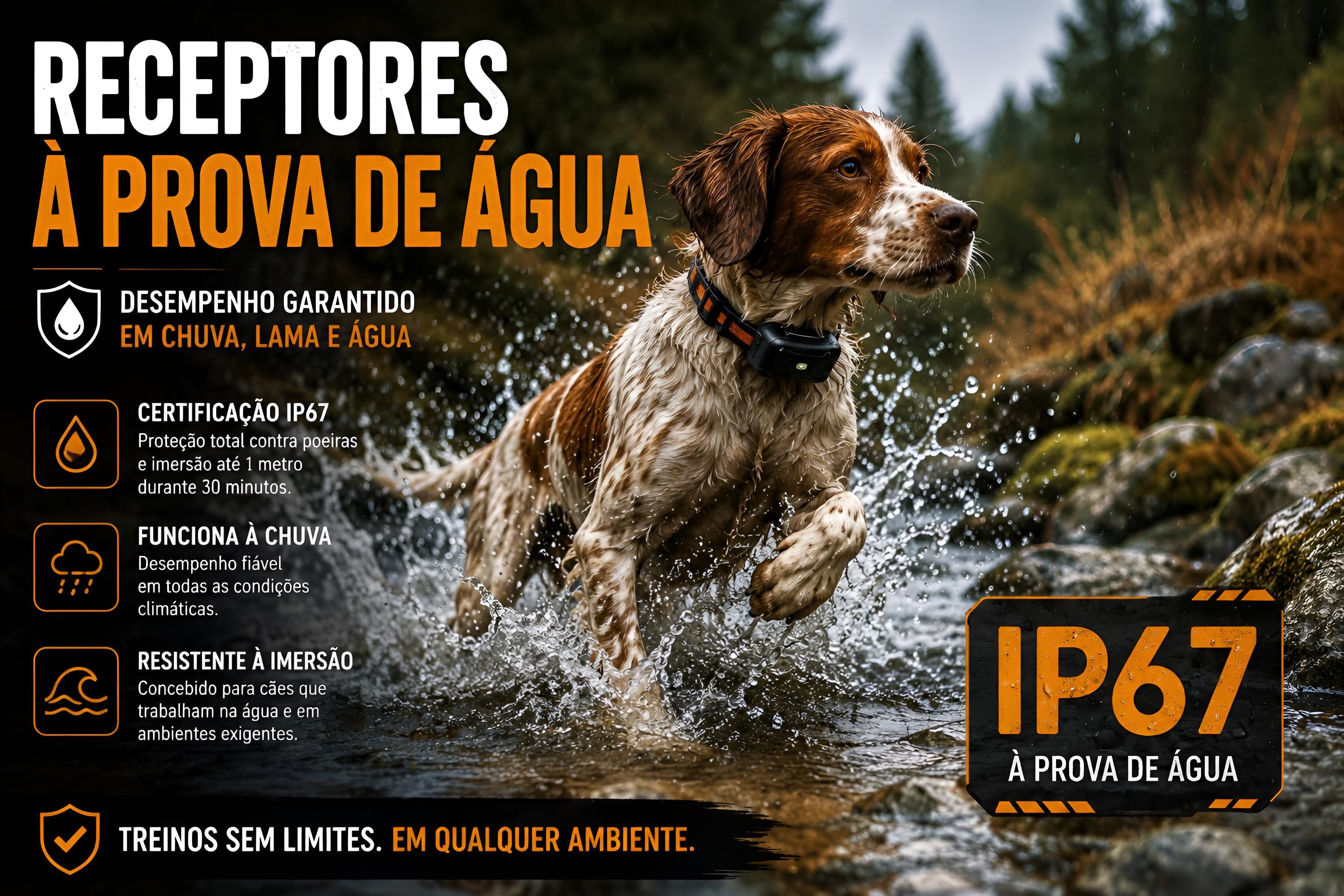 Coleira de adestramento à distância Pro para 3 cães 
