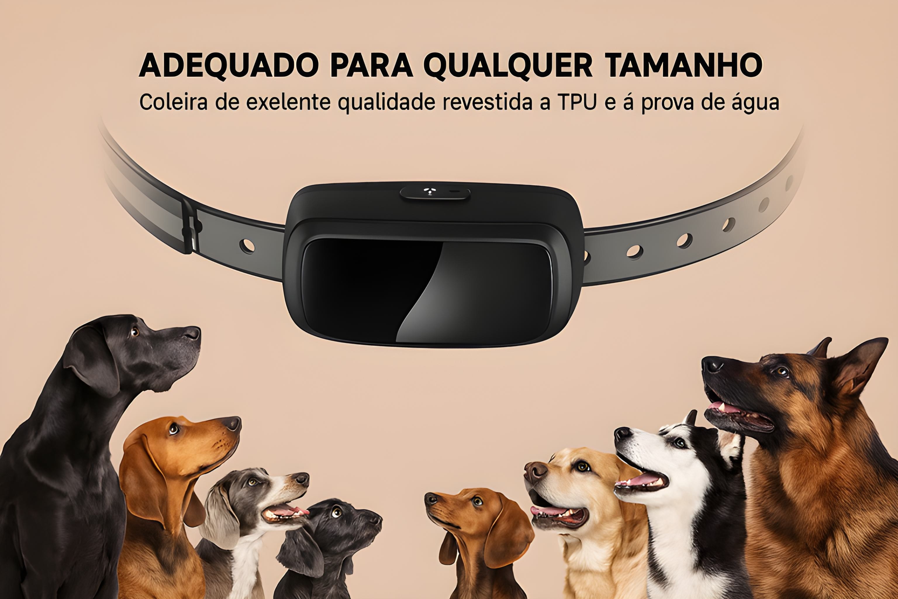 Coleira de adestramento à distância para 1 cão 