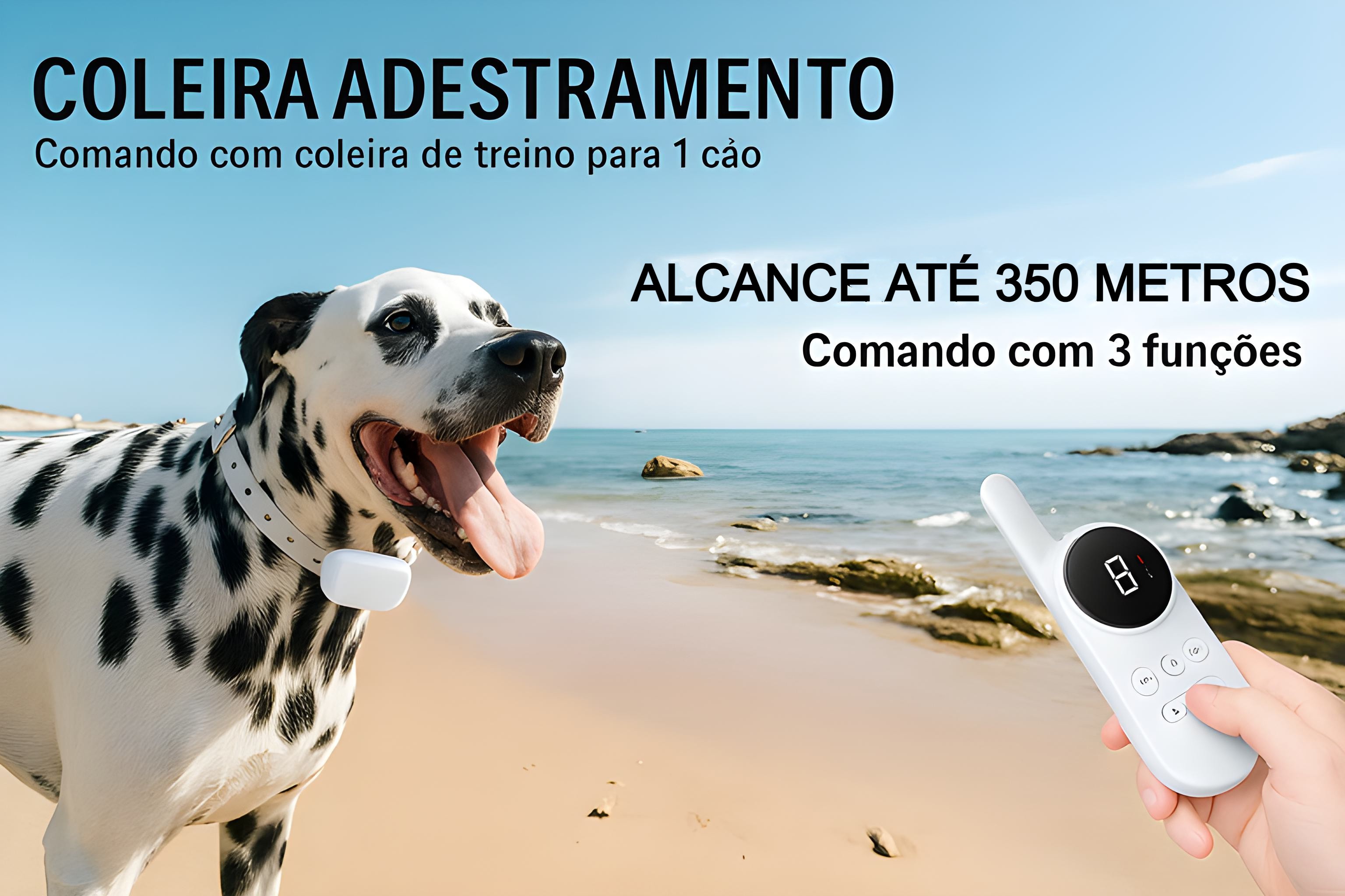 Coleira de adestramento à distância para 1 cão 