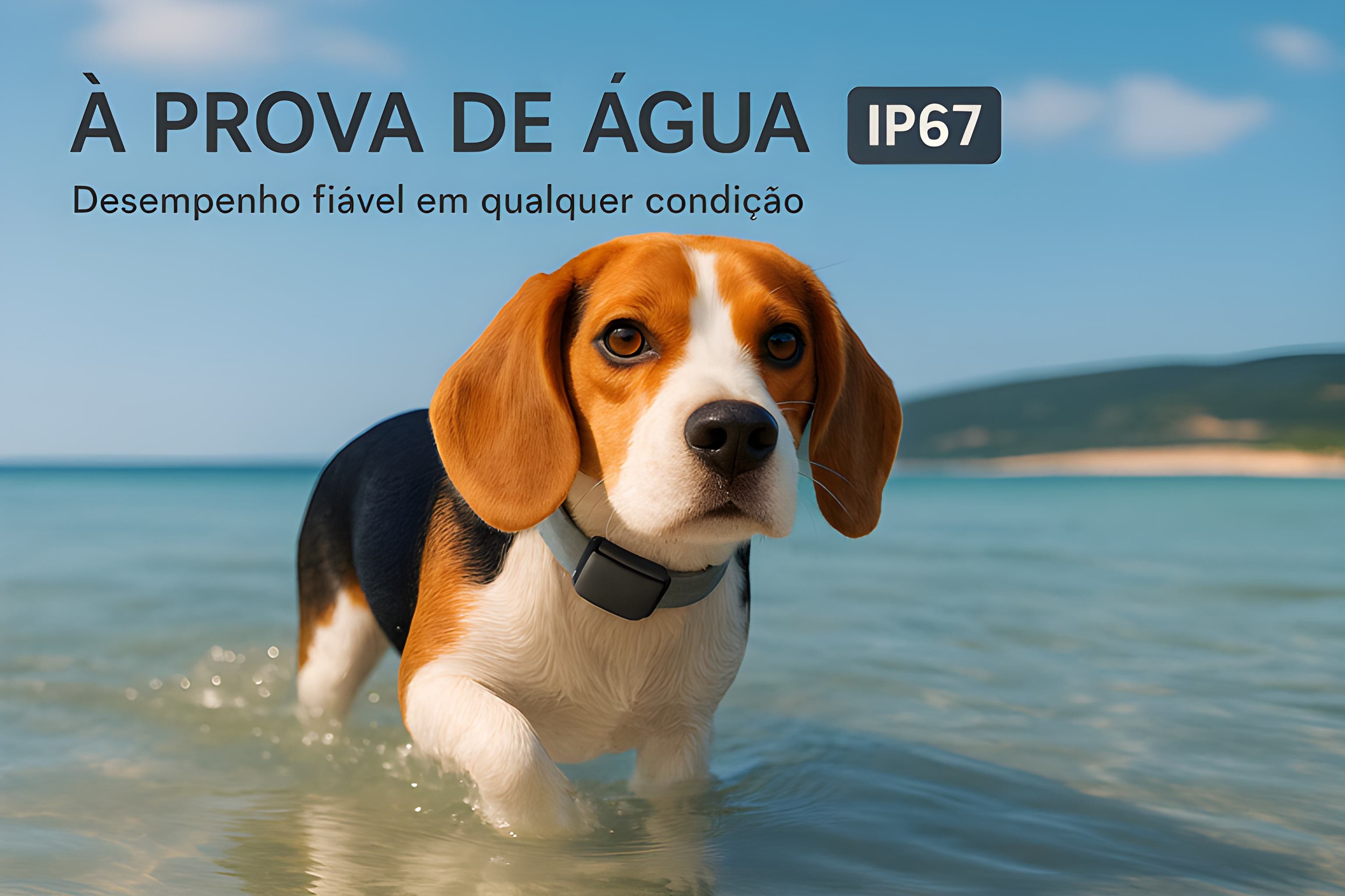 Coleira de adestramento à distância para 1 cão 