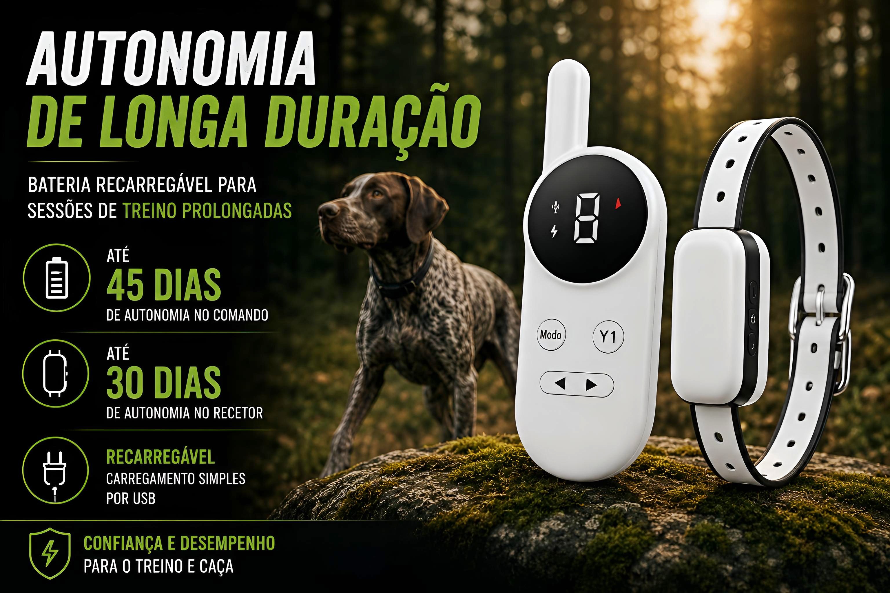 Coleira de adestramento à distância para 1 cão 