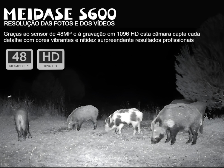 Câmera Meidase S600 LTE com aplicação para o telemóvel e envio de fotos e vídeos 