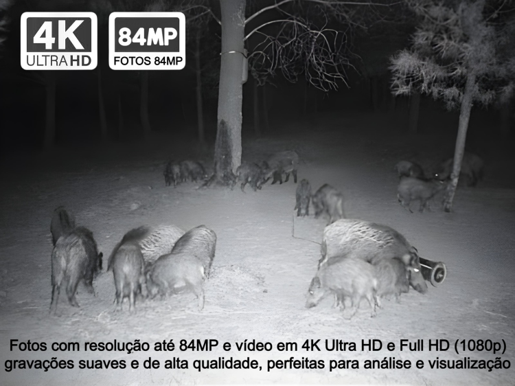 Câmera para caça ou vigilância Monster M50 Wifi 